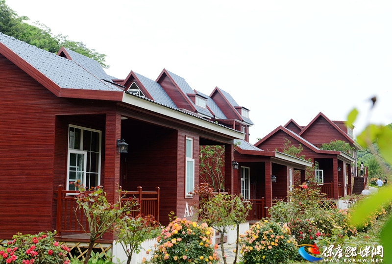 湖北保康：木屋别墅美如画