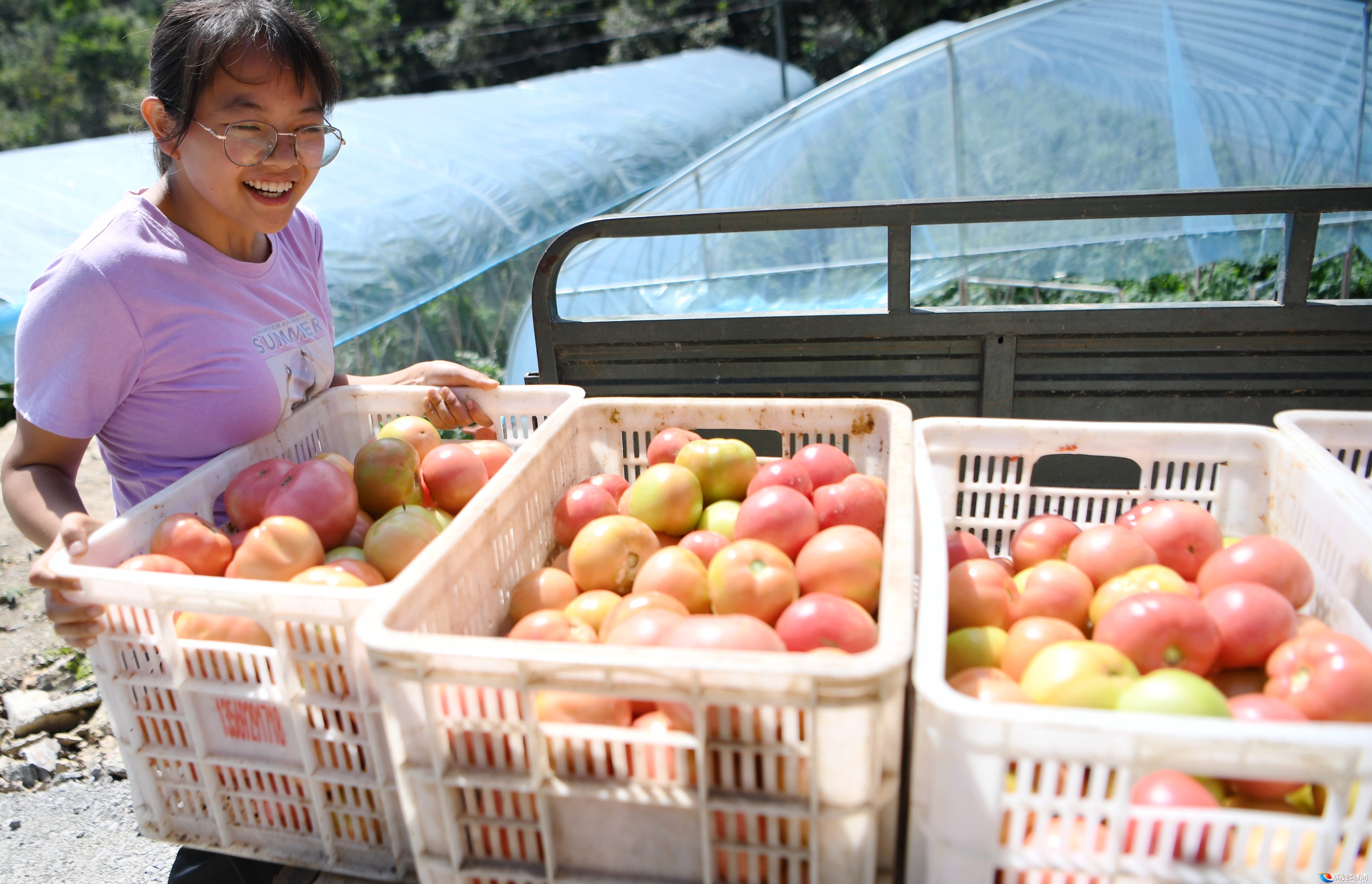 高山反季节蔬菜种植助农增收
