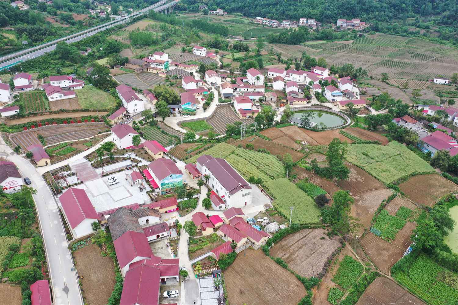 【学报告走基层·共同缔造幸福生活】店垭镇垭子口村：茗香垭子口  幸福新家园