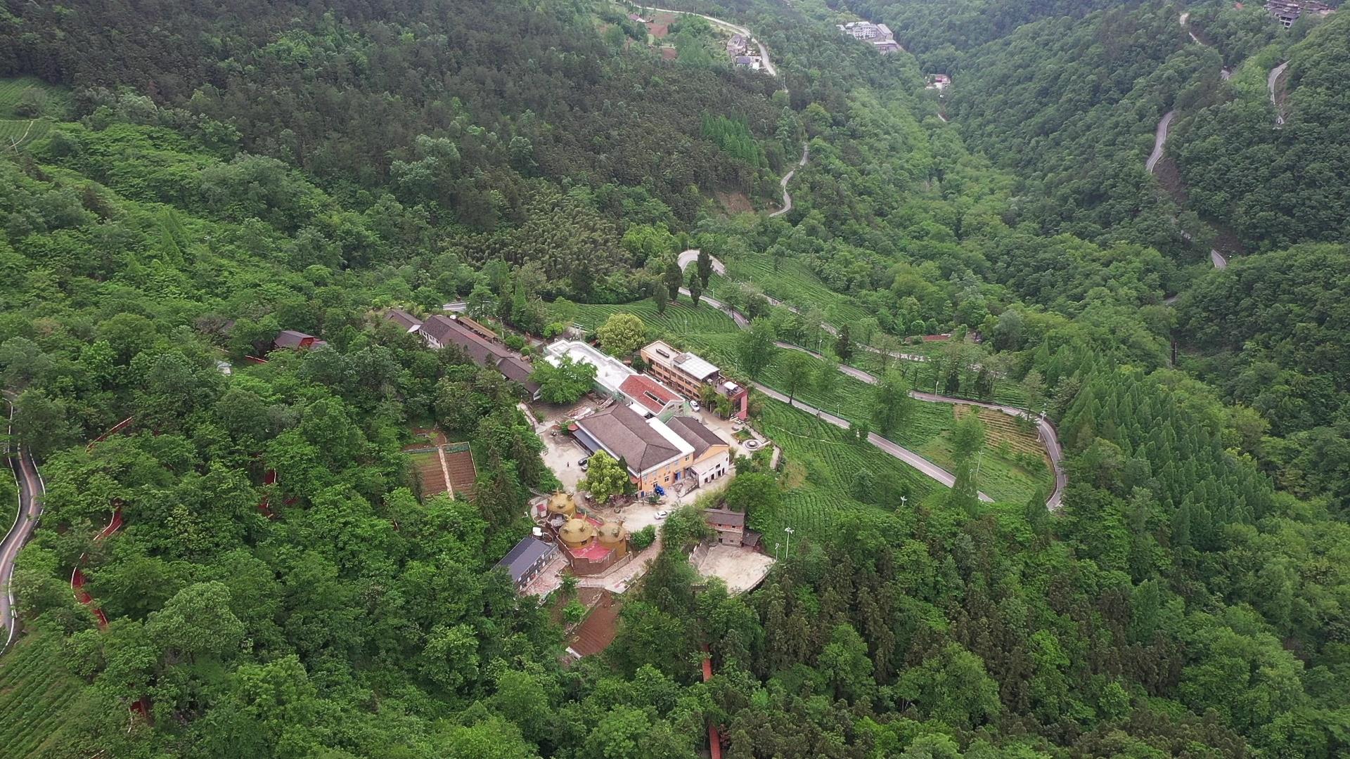 【新时代 新征程 新伟业】保康：用好山林资源  打造康养胜地