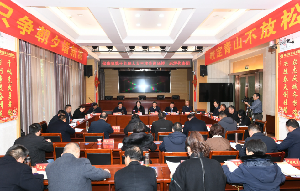 杜云峰参加保康县第十九届人民代表大会第三次会议分团审议时强调：一门心思谋发展  集中精力抓经济