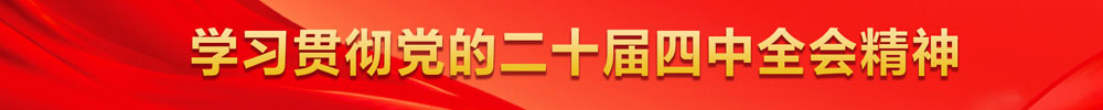 学习贯彻党的二十届四中全会精神