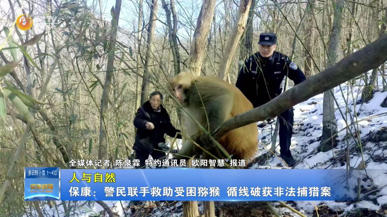 【人与自然】 保康：警民联手救助受困猕猴 循线破获非法捕猎案