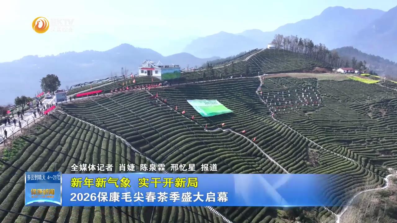 【新年新气象 实干开新局】2026保康毛尖春茶季盛大启幕
