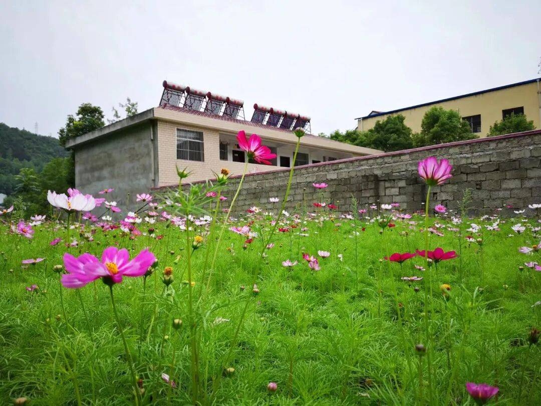 八年夏长，念父如常