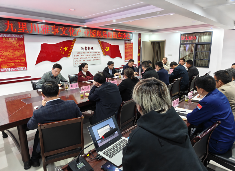 杜云峰现场踏勘九里川雅事文化艺术产业园项目