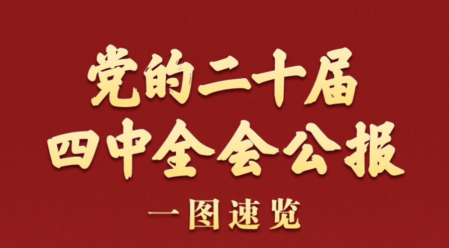 学习新语丨党的二十届四中全会公报一图速览