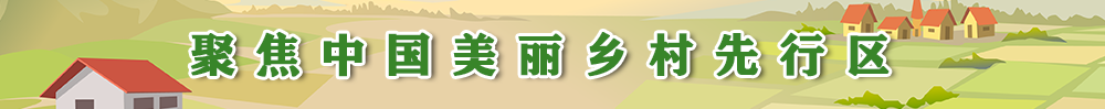 聚焦中国美丽乡村先行区