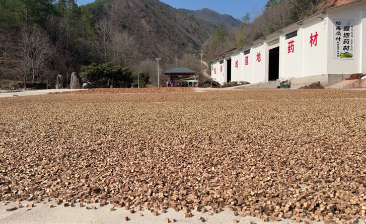 我为群众办实事 | 监管“不松劲”，政策“落得稳”！保康让每一分惠农资金都“晒”在阳光下